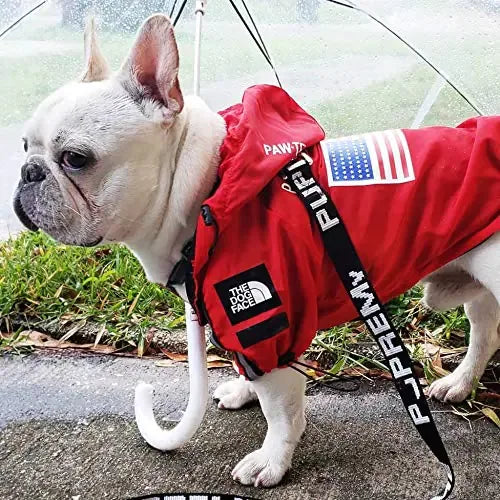 French Bulldog wearing red outdoor dog jacket with American flag patch under clear umbrella