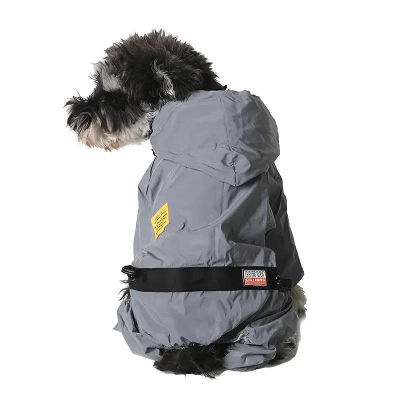 Small black and white dog in a gray outdoor dog jacket with hood, survival gear for camping