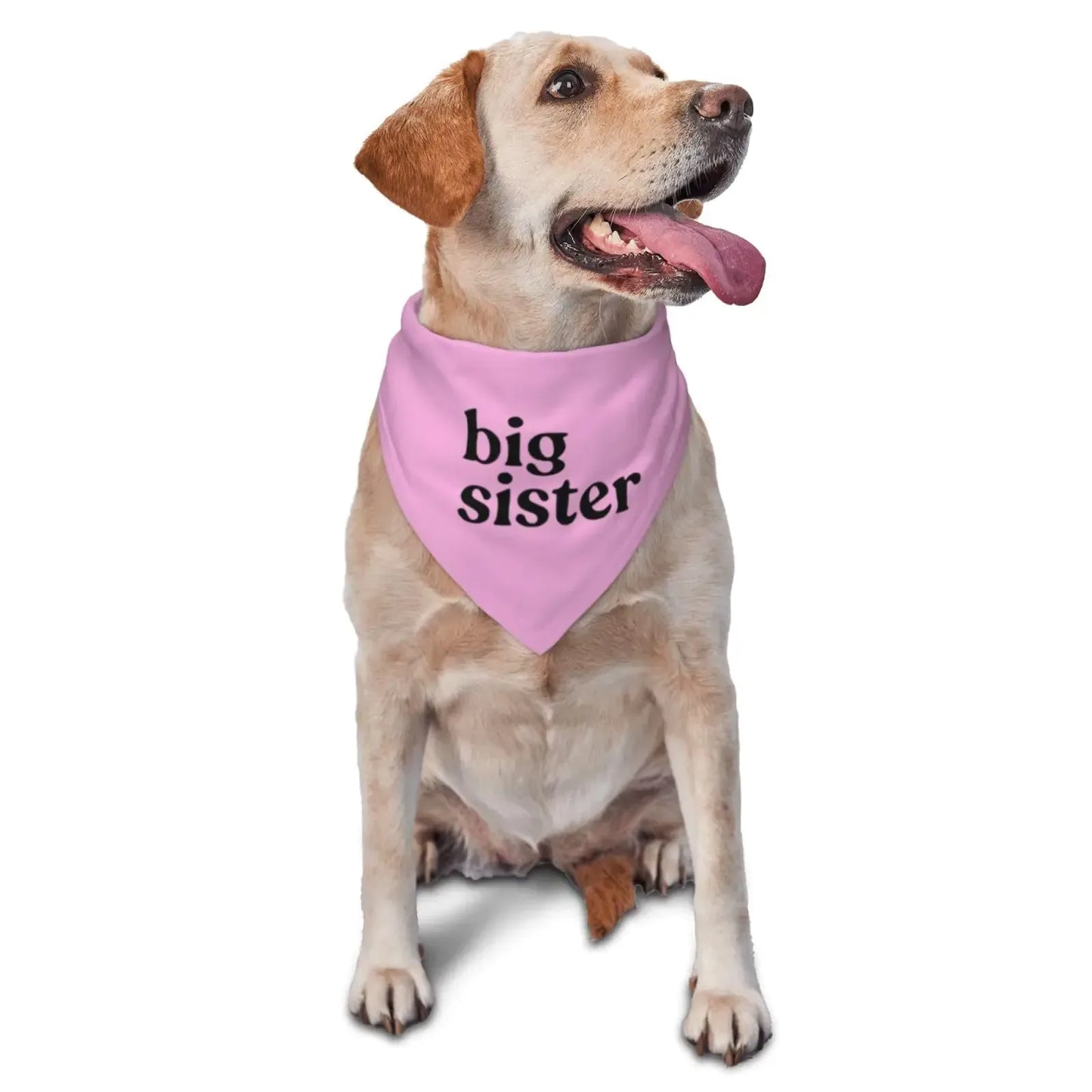Yellow labrador wearing a pink 'big sister' bandana for outdoor adventure lovers