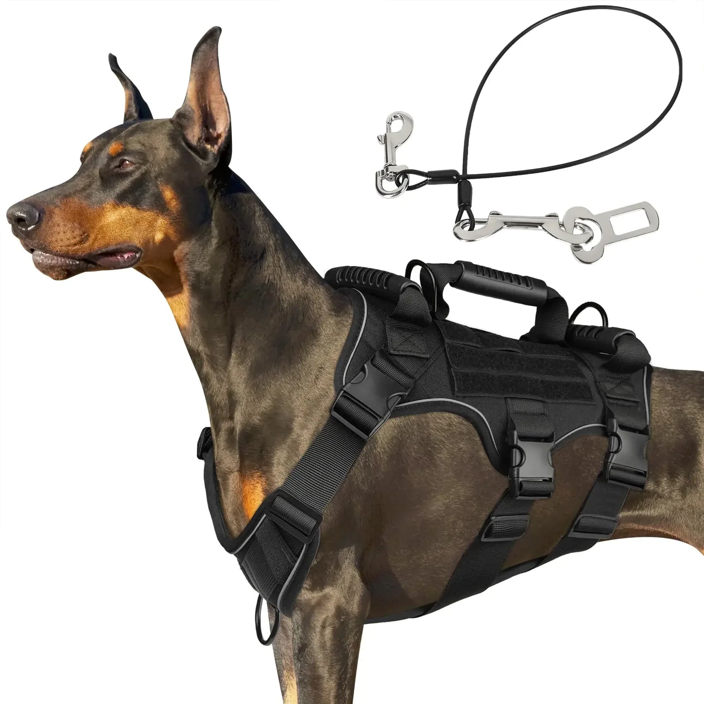 Dog wearing tactical harness with leash, outdoor adventure pet gear from Hacksoutdoors