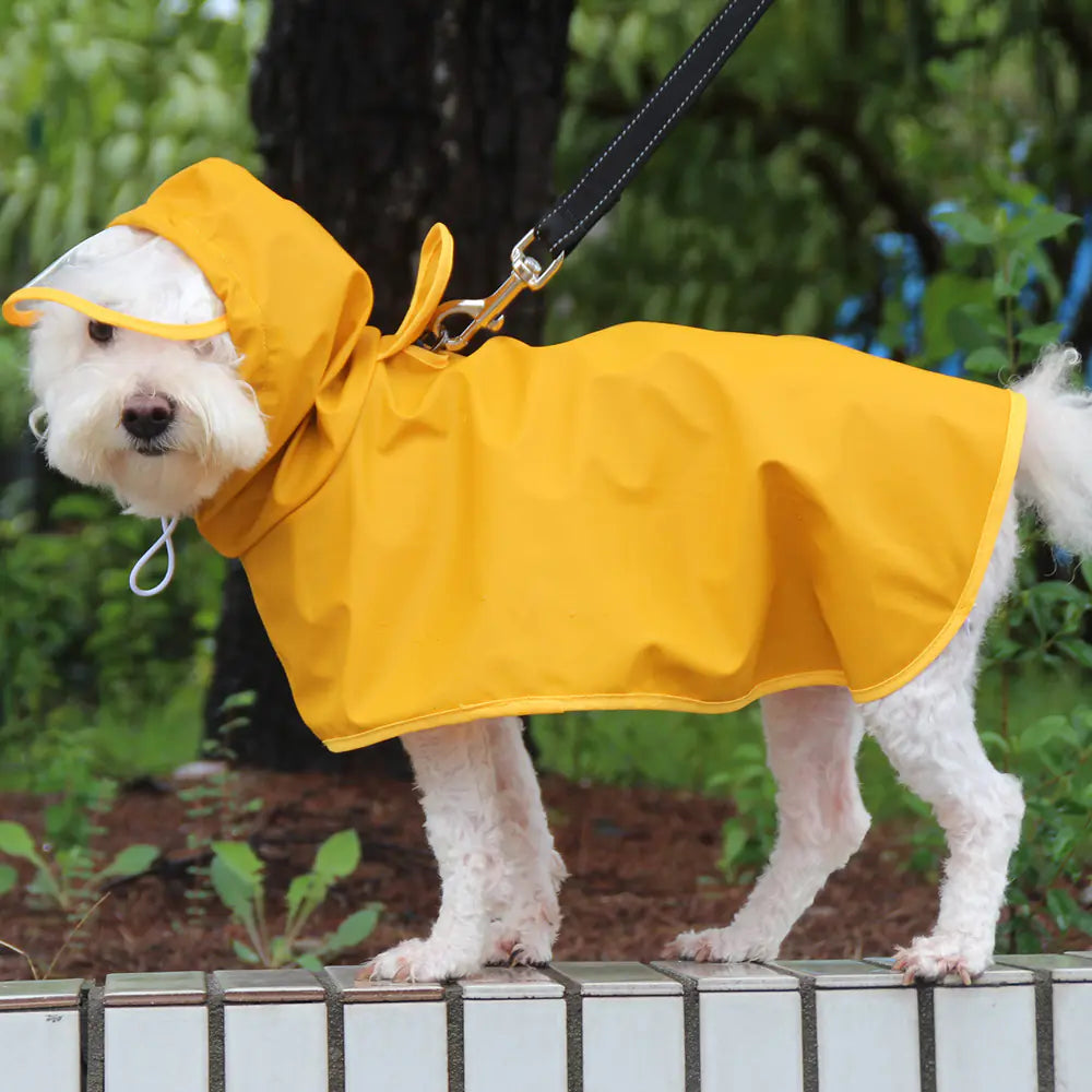 Clear Visor Pet Rain Jacket